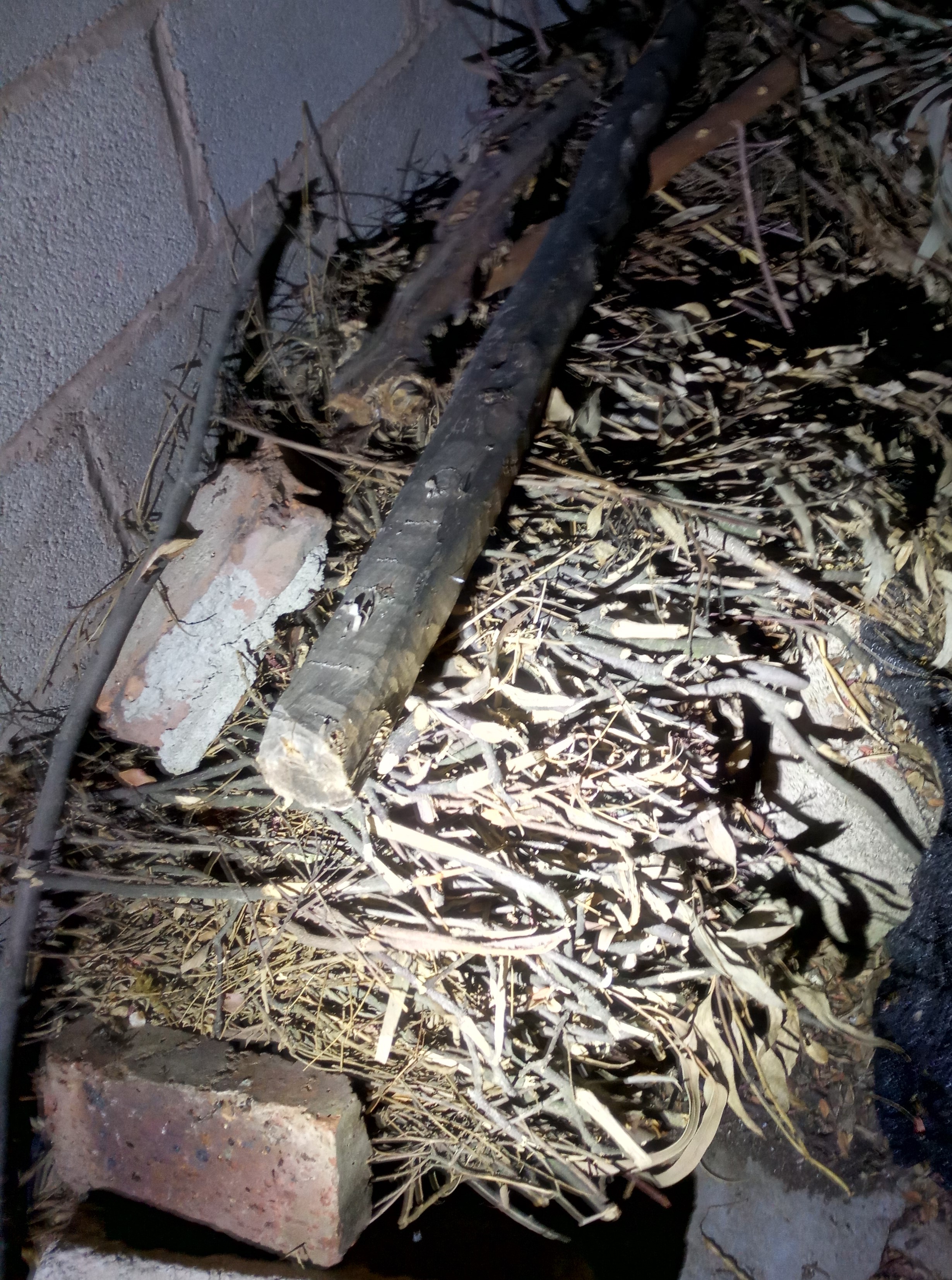 点击放大图片 P80406-195543.jpg