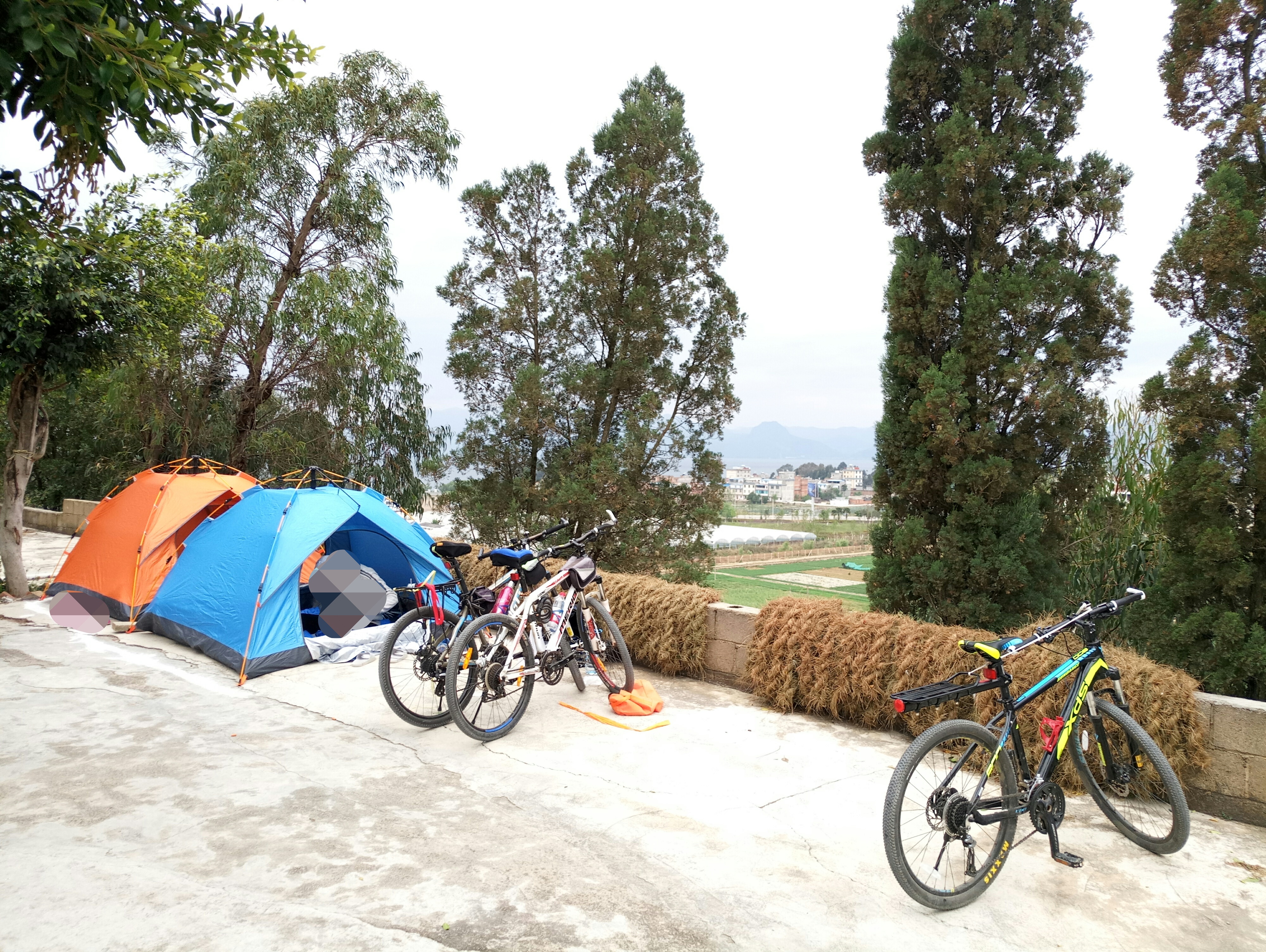 点击放大图片 P80406-171837(1).jpg