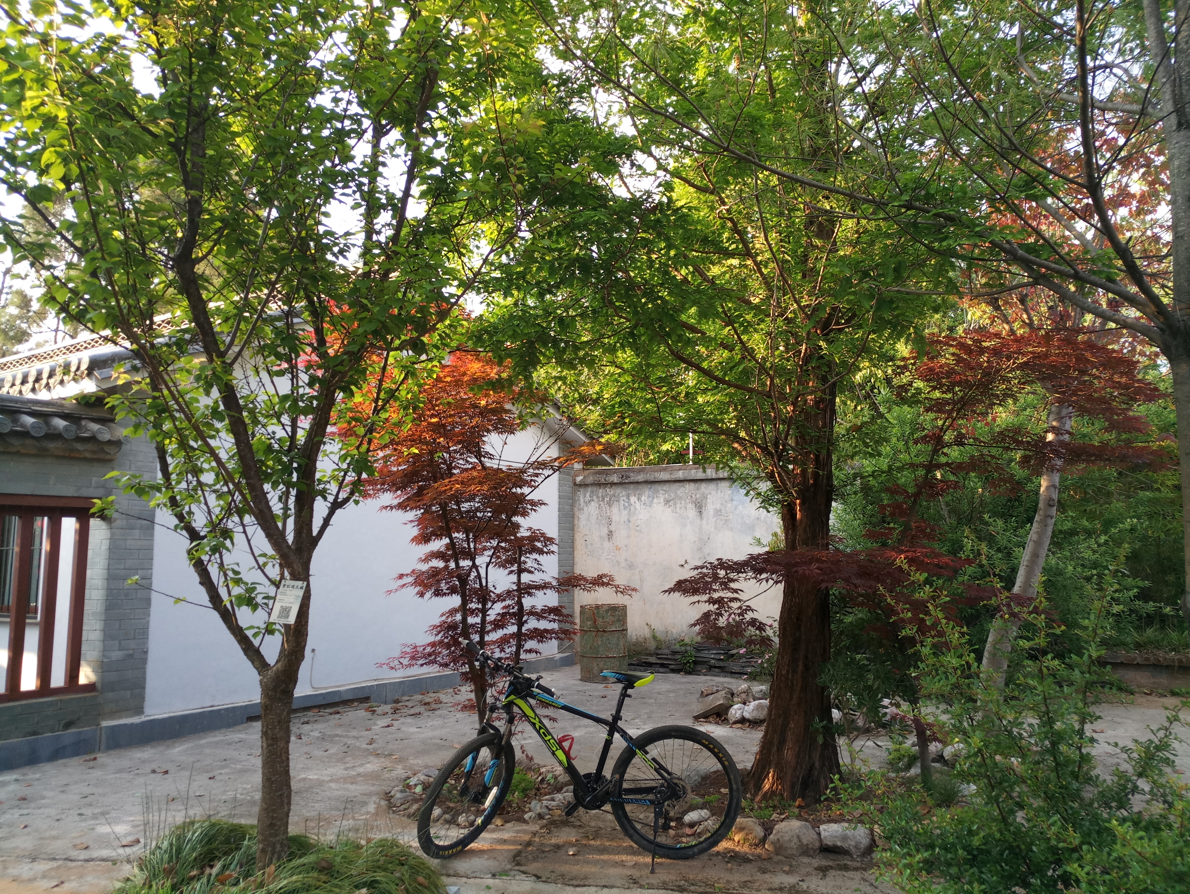 点击放大图片 P80420-184225.jpg