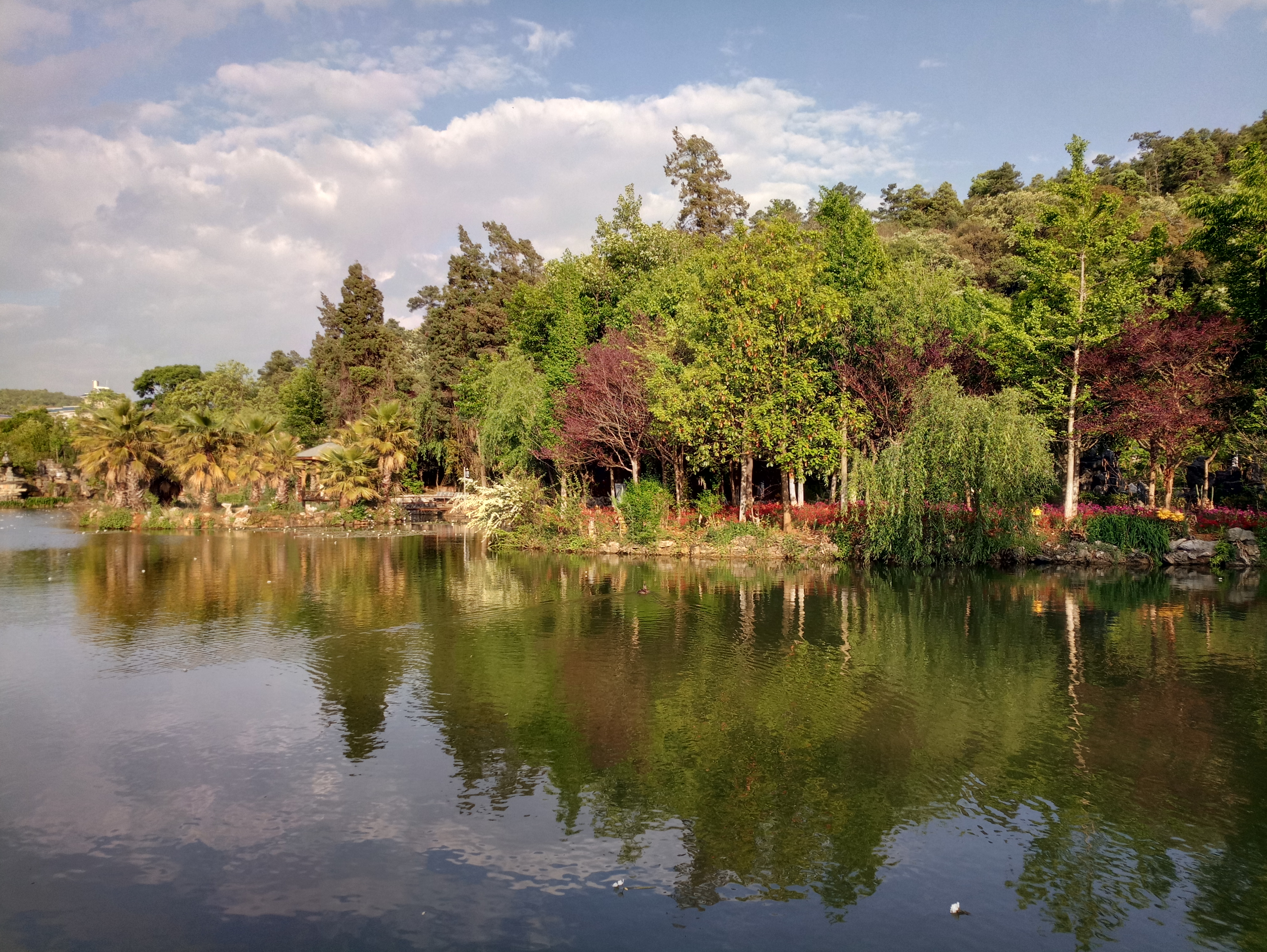 点击放大图片 P80420-180207.jpg