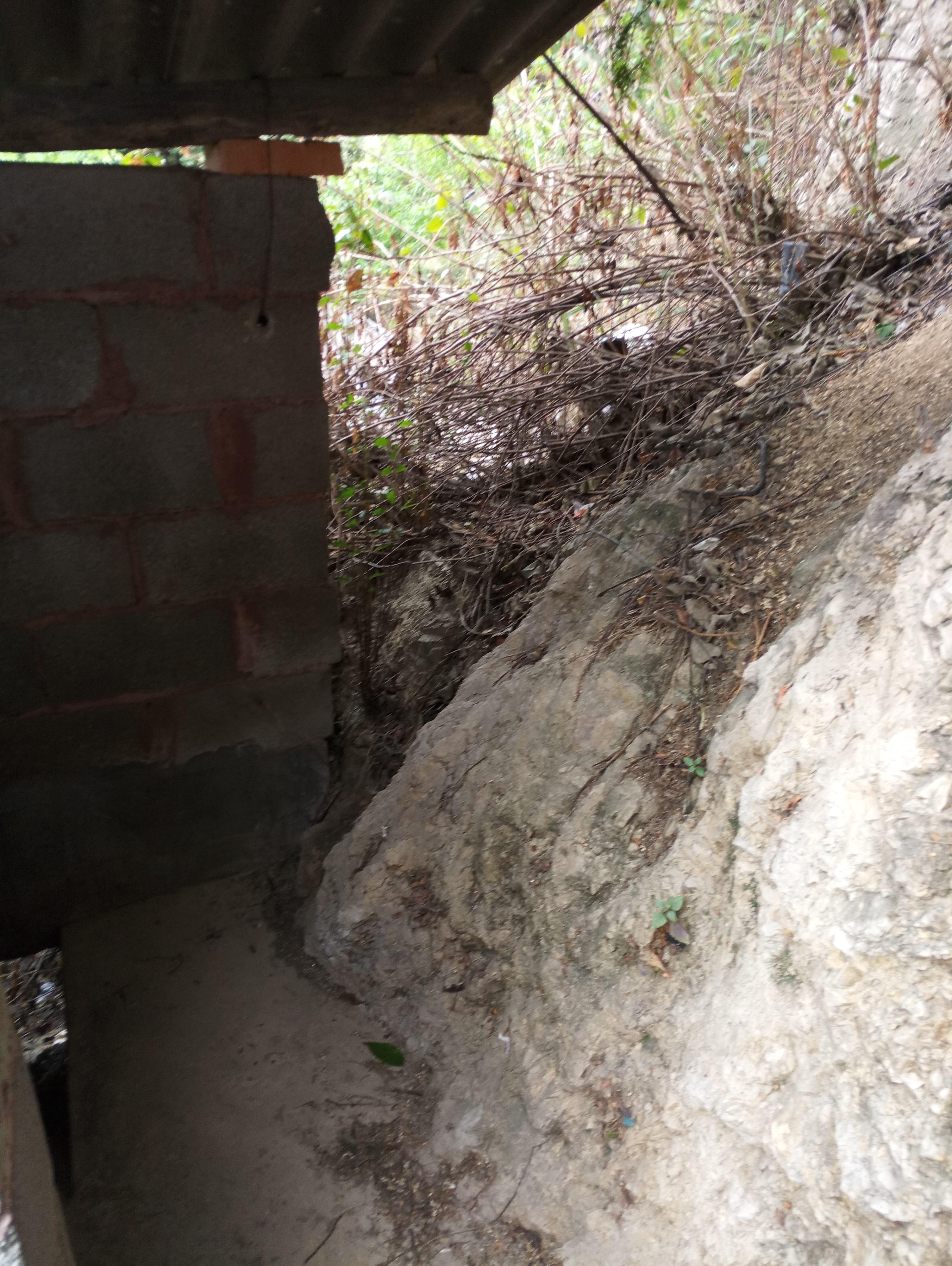 点击放大图片 P80406-164824.jpg