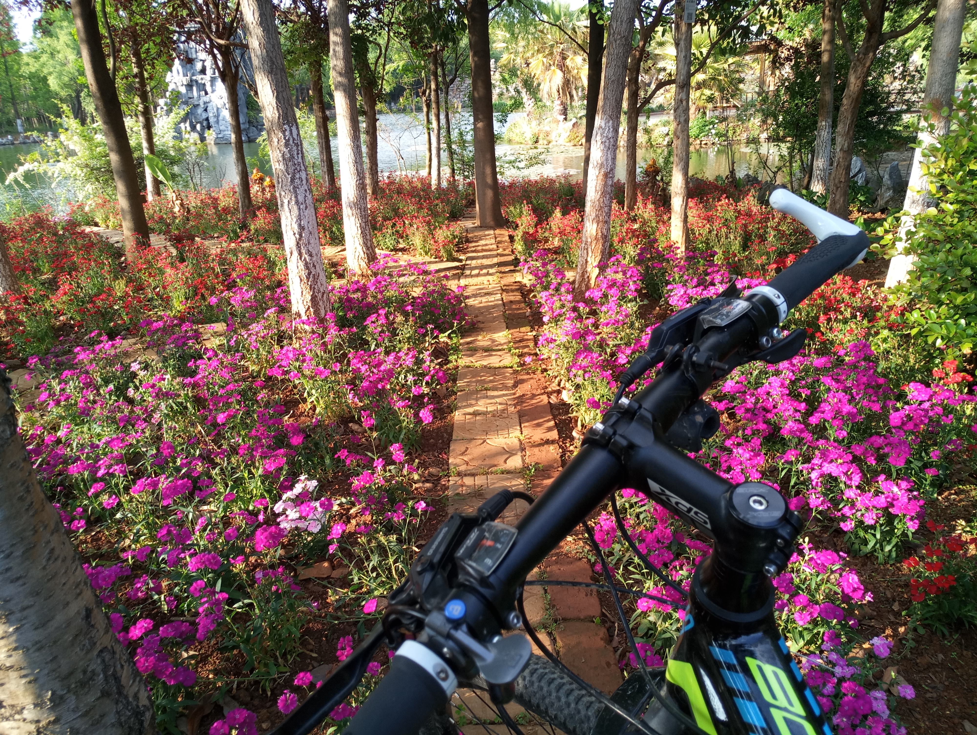 点击放大图片 P80420-180825.jpg