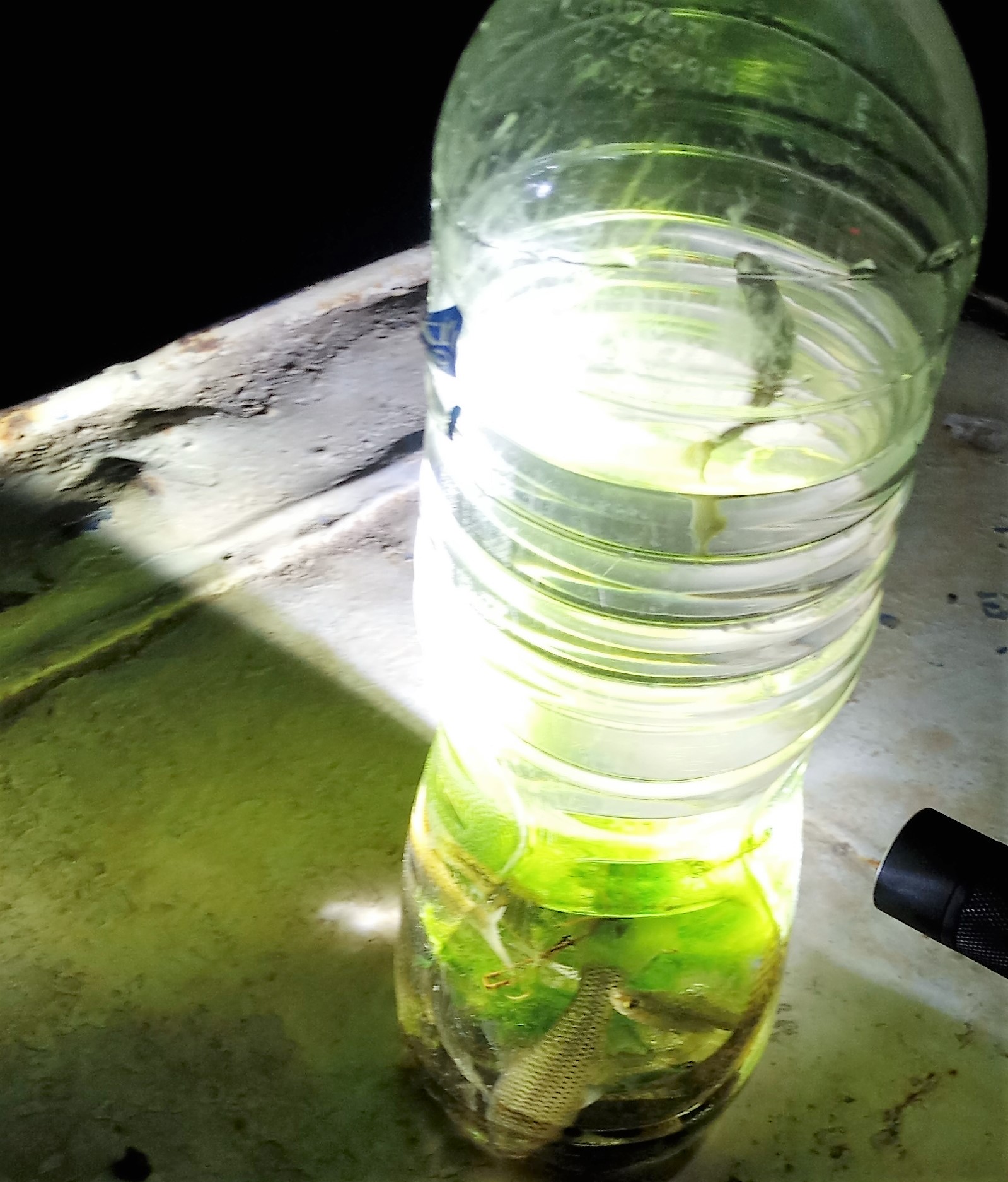 点击放大图片 P80406-193453.jpg