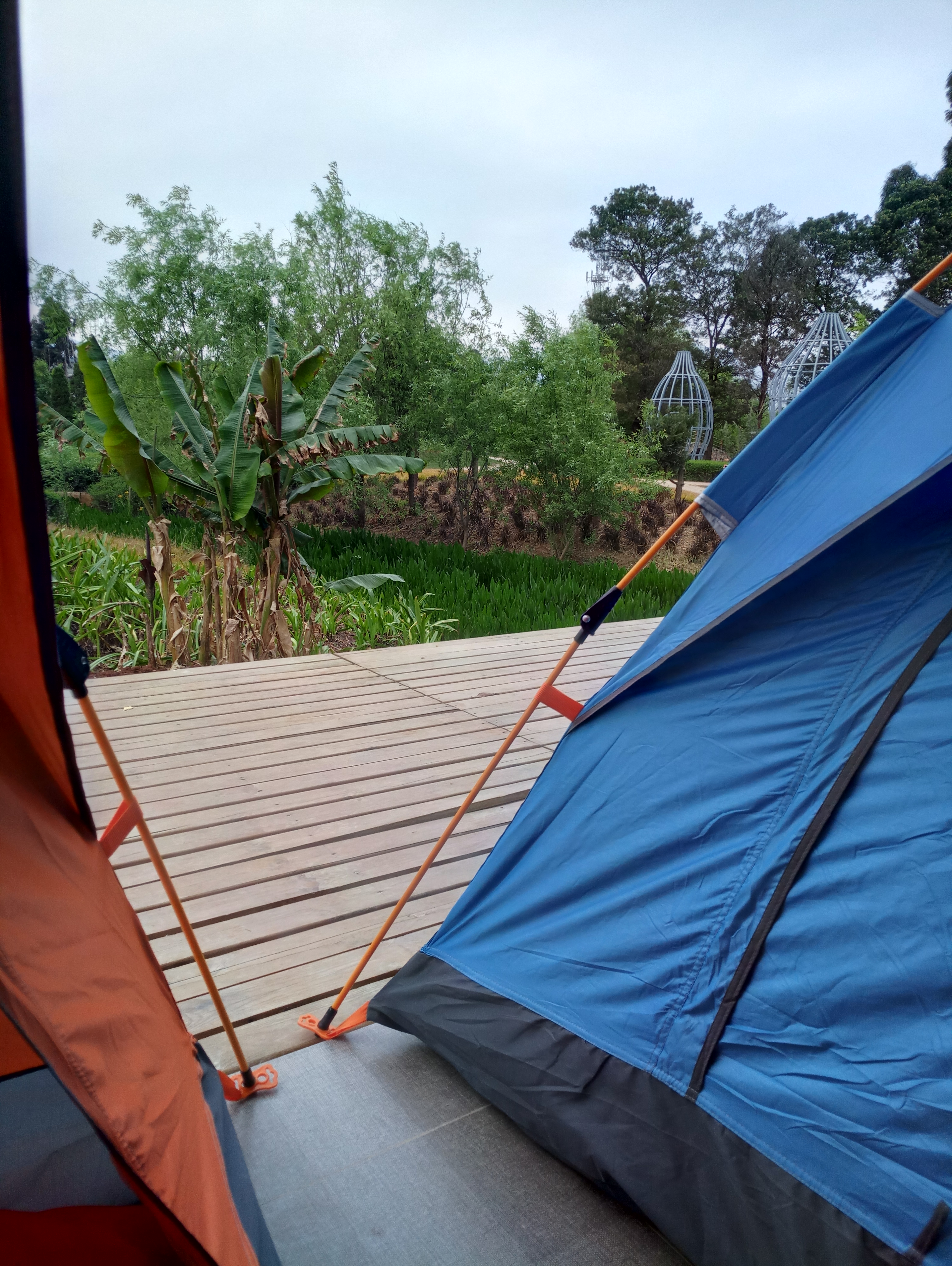 点击放大图片 P80406-075807.jpg