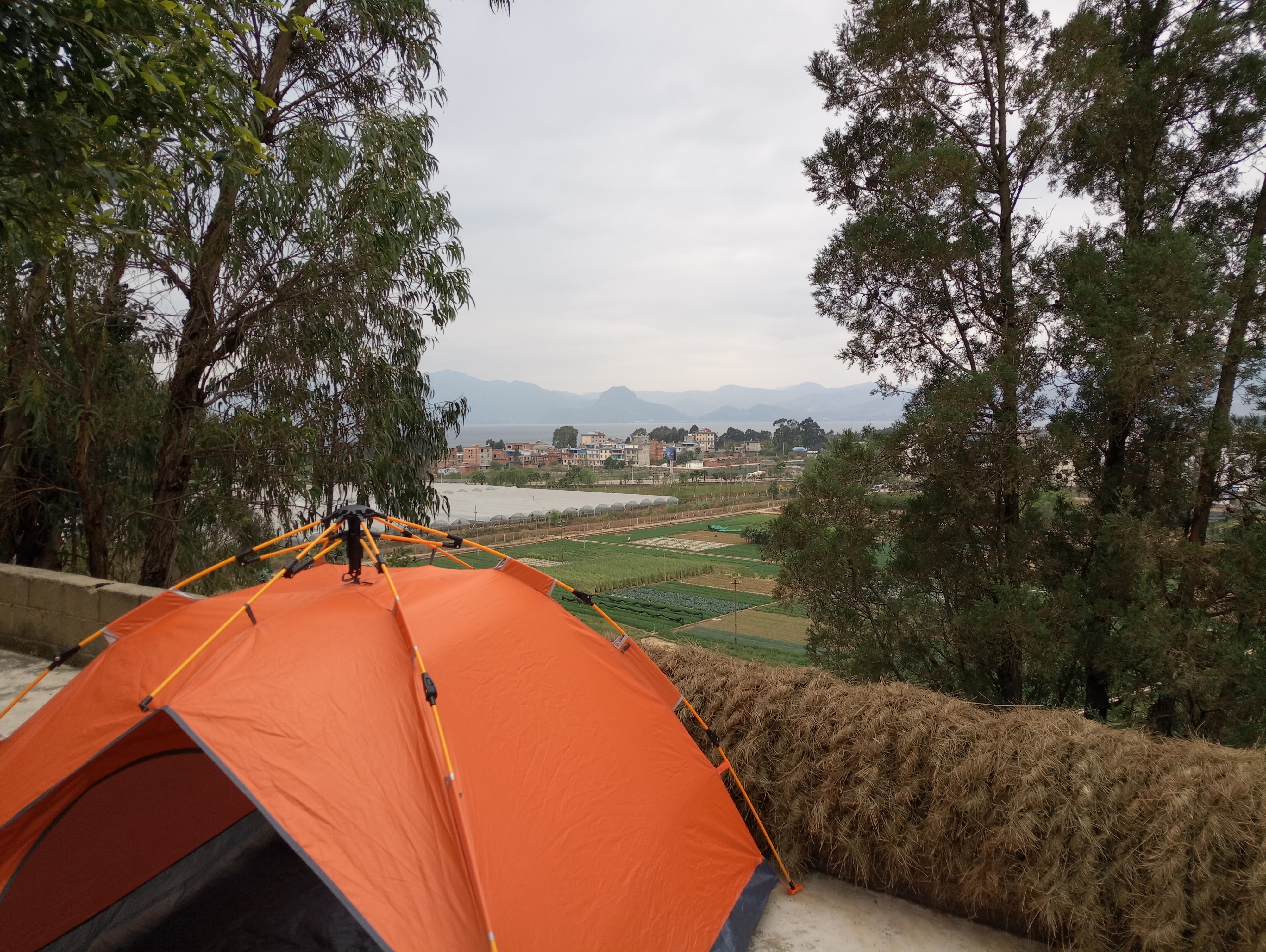 点击放大图片 P80406-165354.jpg