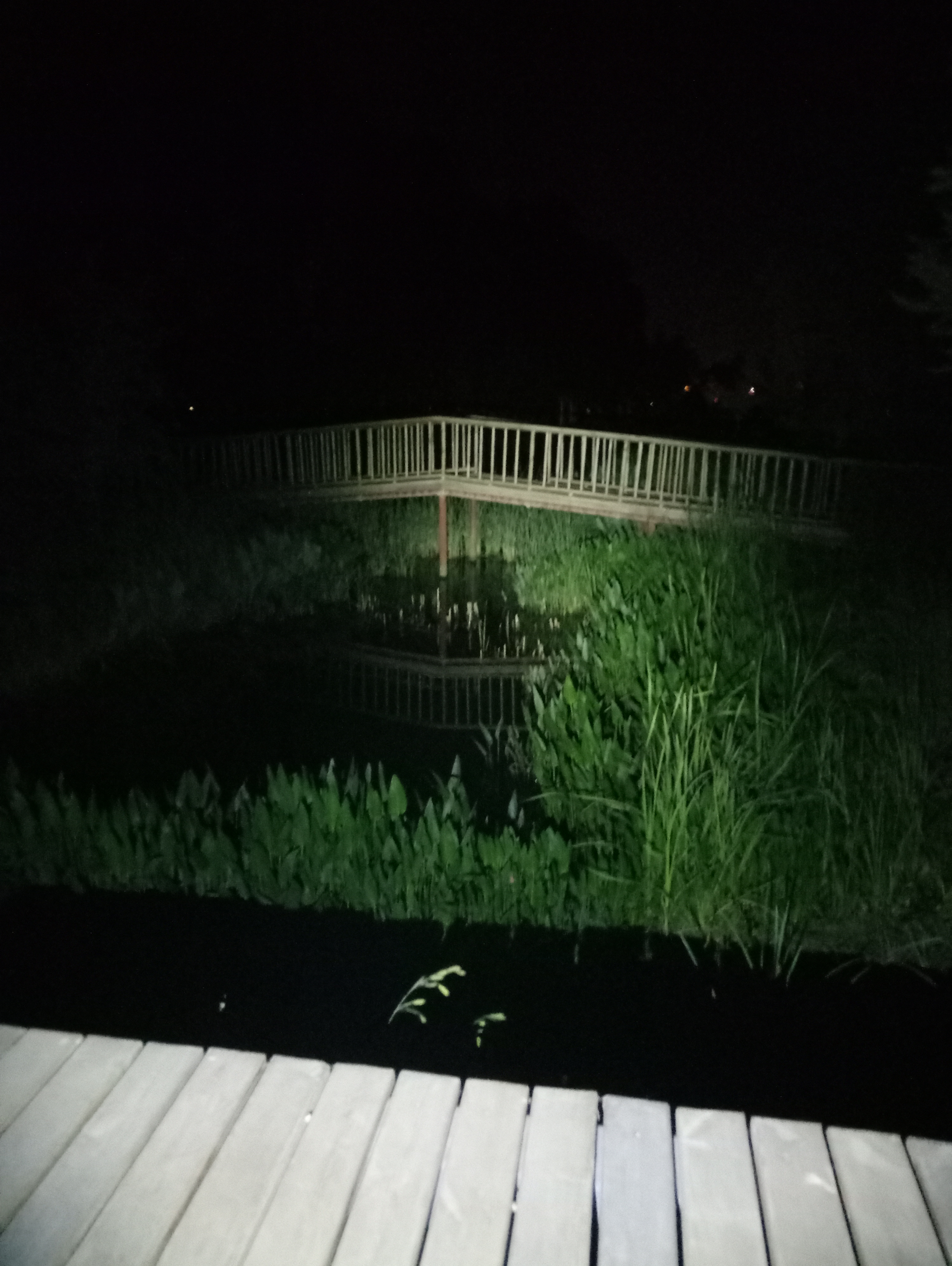 点击放大图片 P80405-214417.jpg